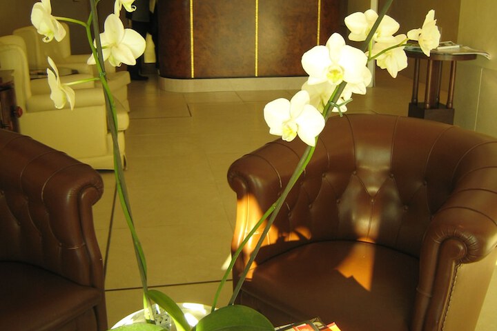 Lobby Photos