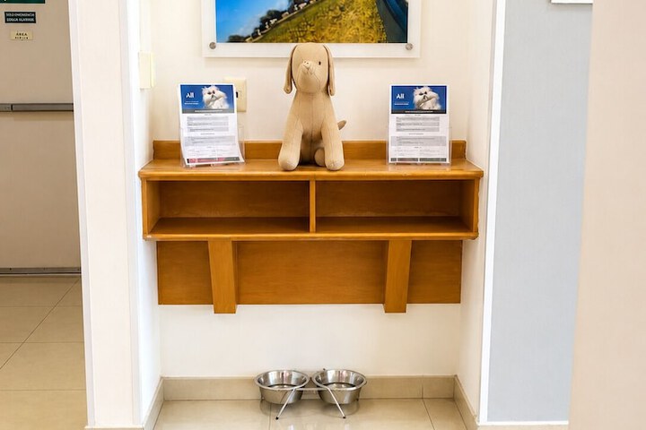 Pet Friendly 34 of 65
