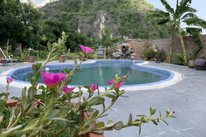 Pool 21 of 59