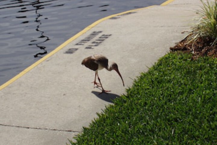 Property Grounds 193 of 207