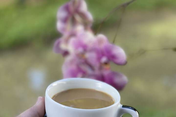 Breakfast/Coffee Service 12 of 40