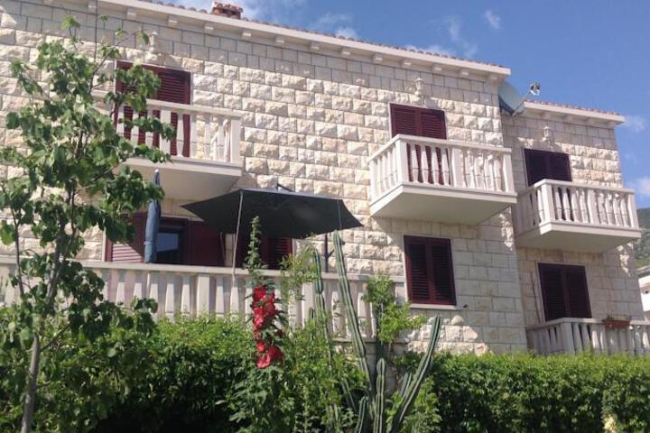 Exterior of HOUSE SAN ANTONIO
