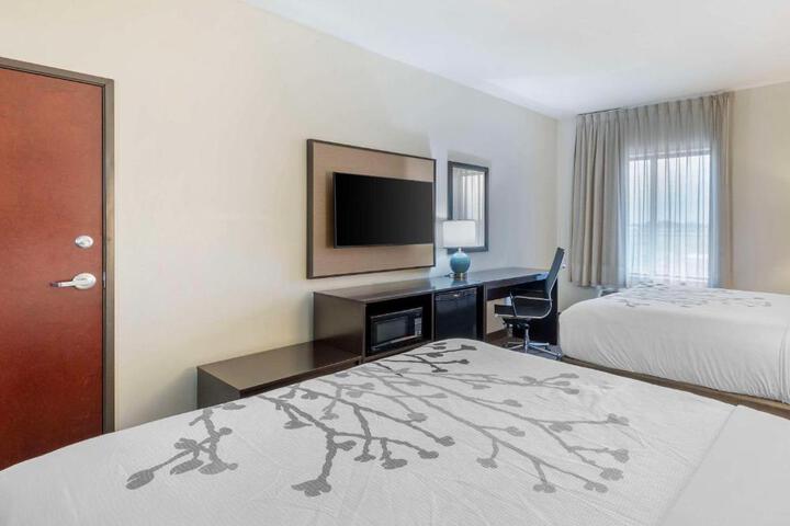 2 Queen Beds (4 of 10)