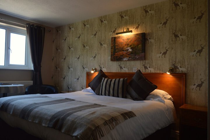 Room 5 of 50