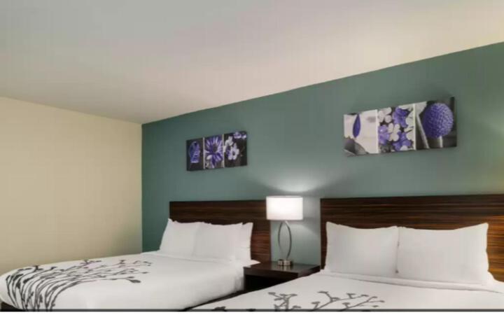 2 Queen Beds (5 of 8)