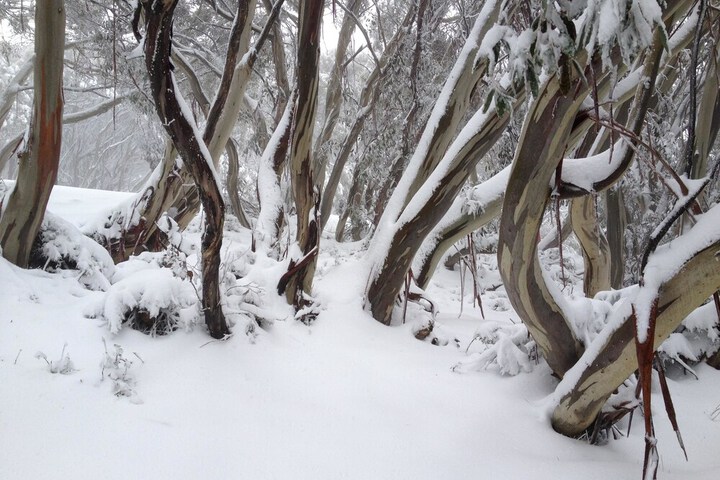 Outdoor Activities 11 of 13