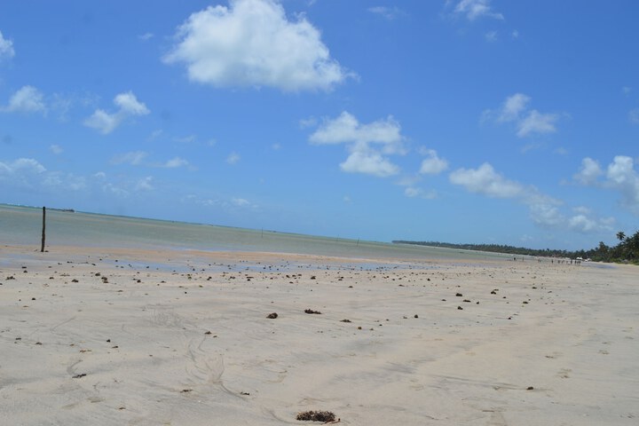 Beach 49 of 52