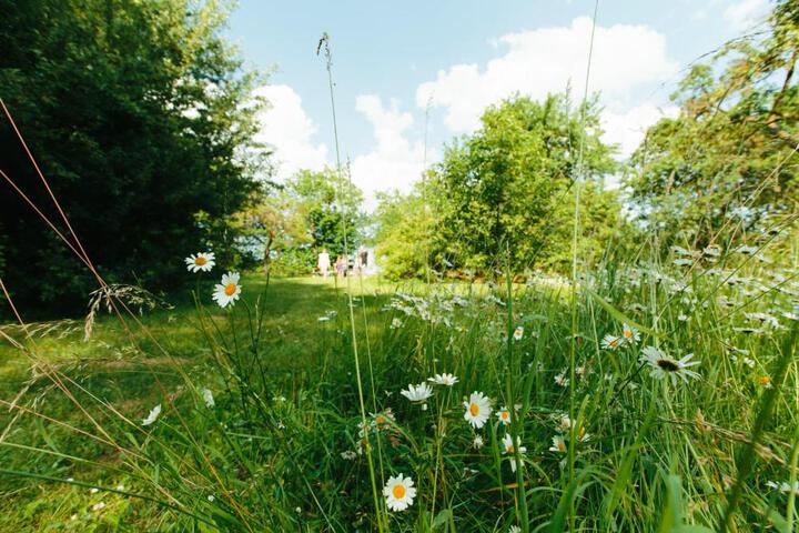 General 53 of 100