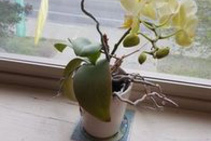 Hotel Interior 74 of 126