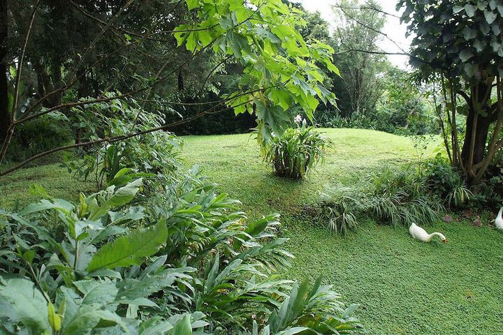 Property Grounds 30 of 63