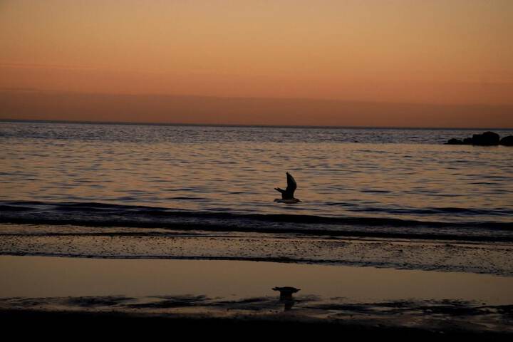 Beach 36 of 46
