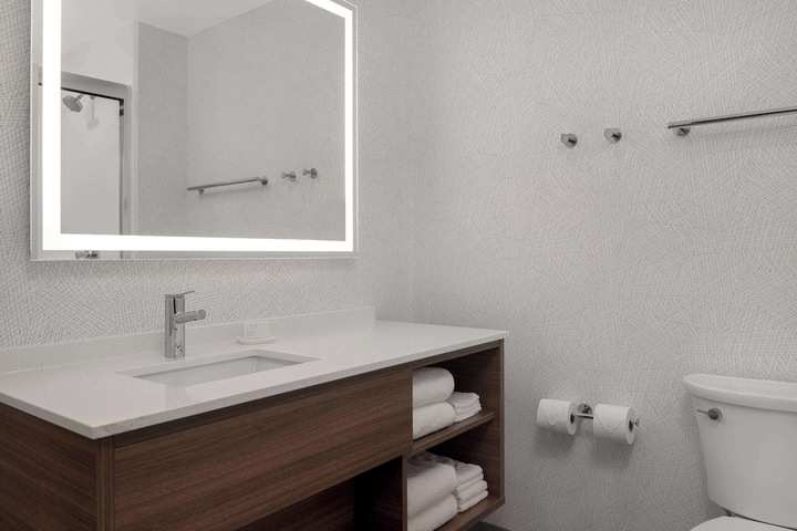 1 King Accessible Roll in Shower Studio Suite (9 of 22)