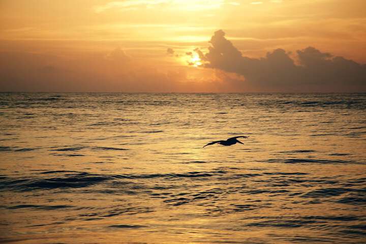 Beach 190 of 234