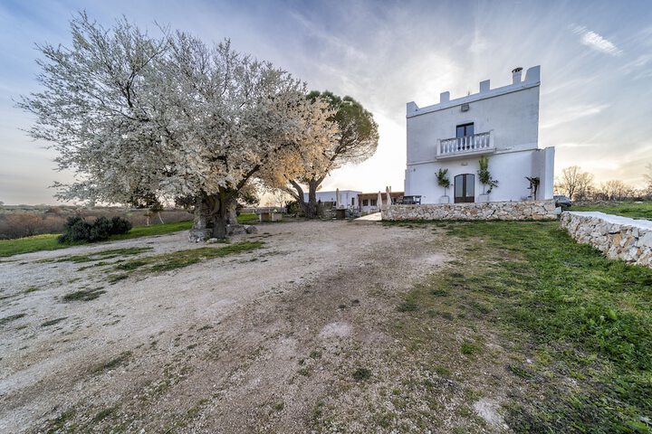 Tenuta del Grillaio
