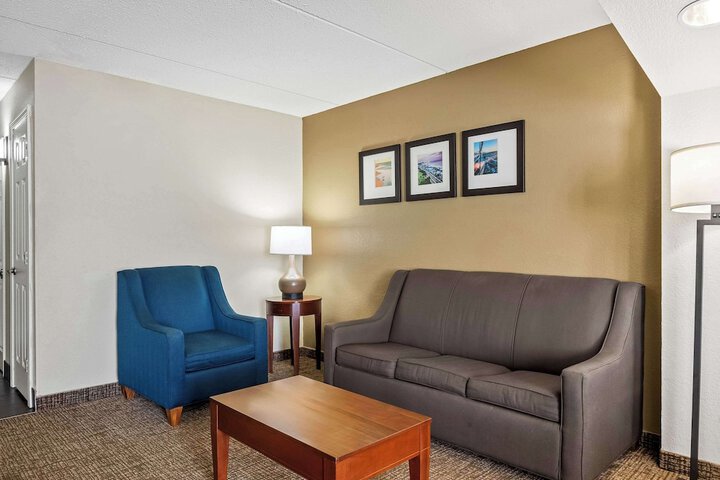 1 King Bed Suite (1 of 11)