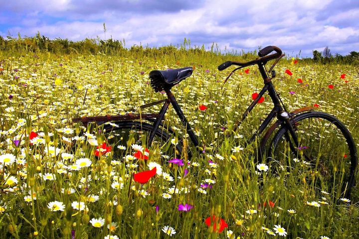 Bicycling