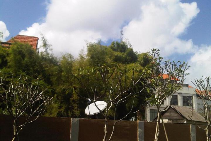Photo 6
