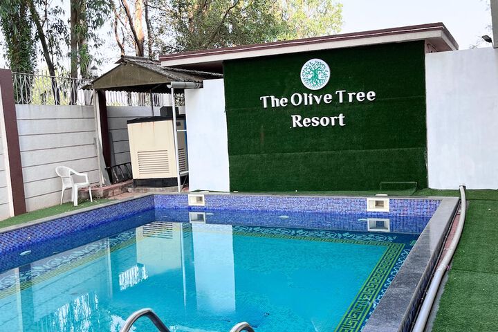 Olive Tree Resort