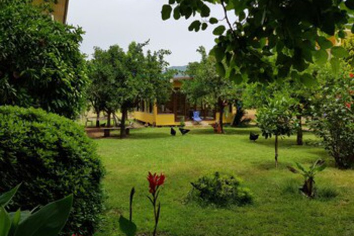 Narcicegi Otel