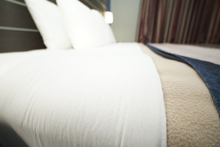 Deluxe King Bed (12 of 14)