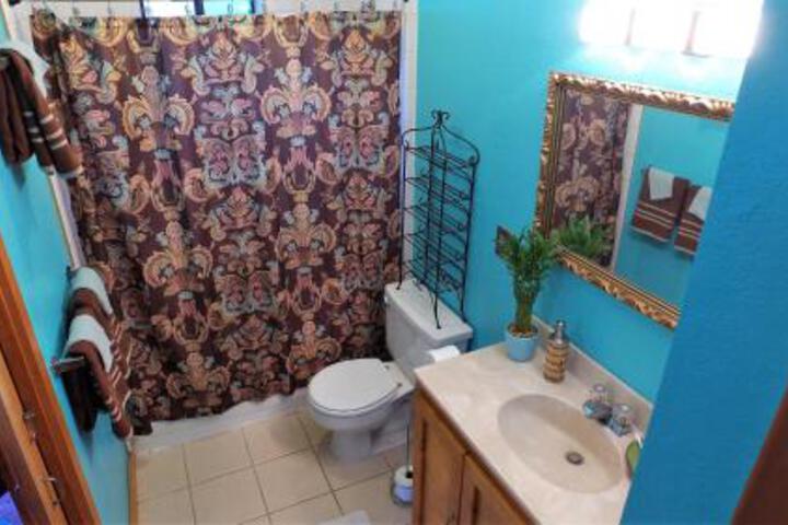 The Carefree House in Pagosa Springs, CO