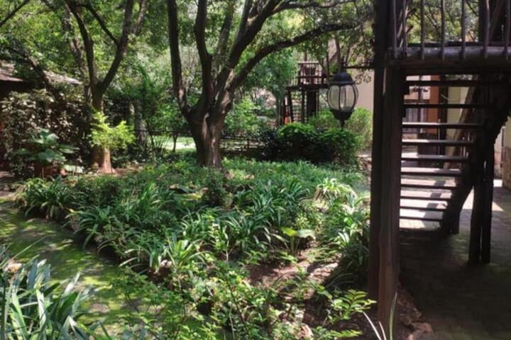 Spa and Wellness Pictures