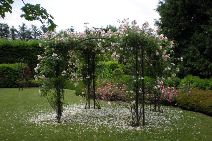 Fitness Facility Photos