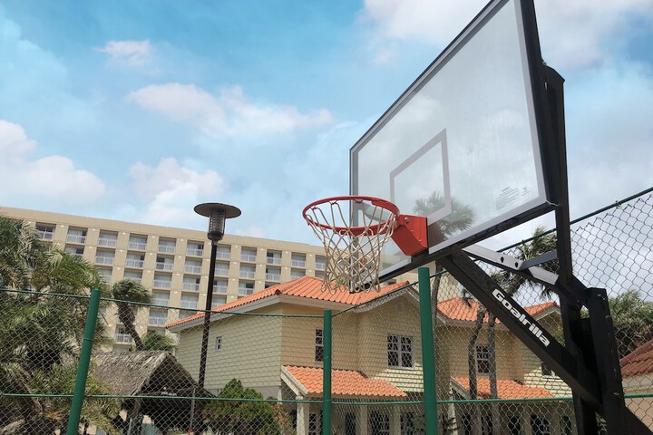 Basketball court