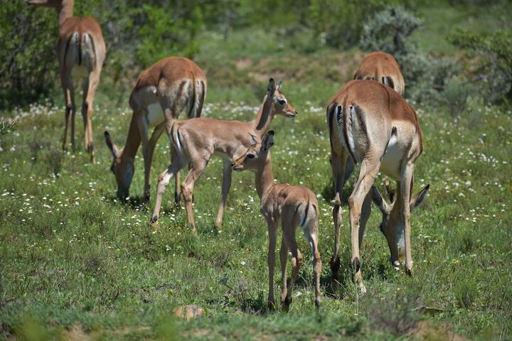 Hotel View 62 of 113