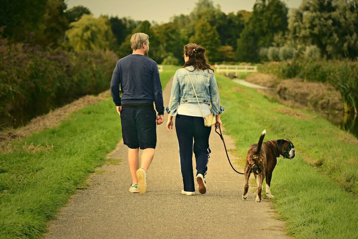 Pet Friendly 58 of 74