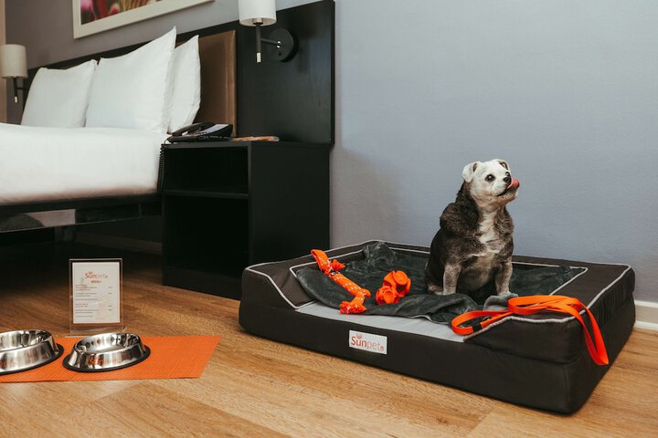 Room amenity