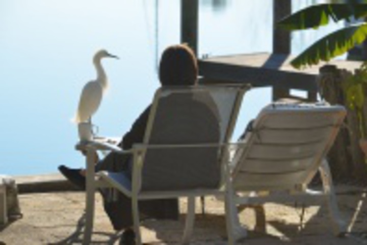 Property Grounds 30 of 576