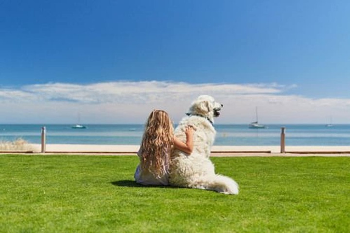 Pet Friendly 73 of 122