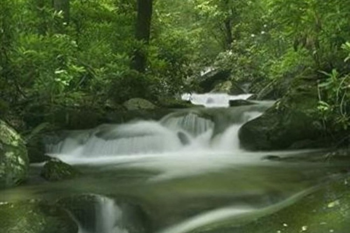 Property Grounds 60 of 72