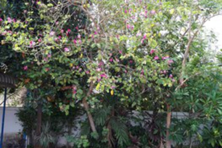 Property Grounds 15 of 16