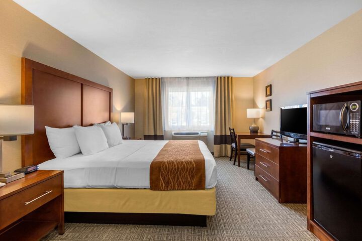 Standard | King Bed (5 of 21)