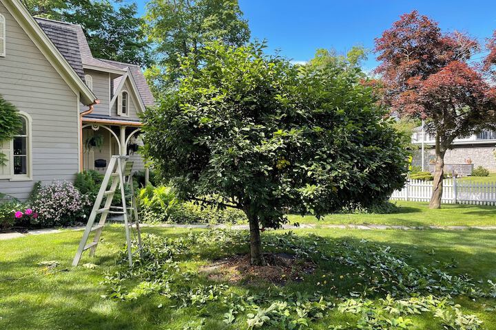 Hotel Exterior 75 of 81