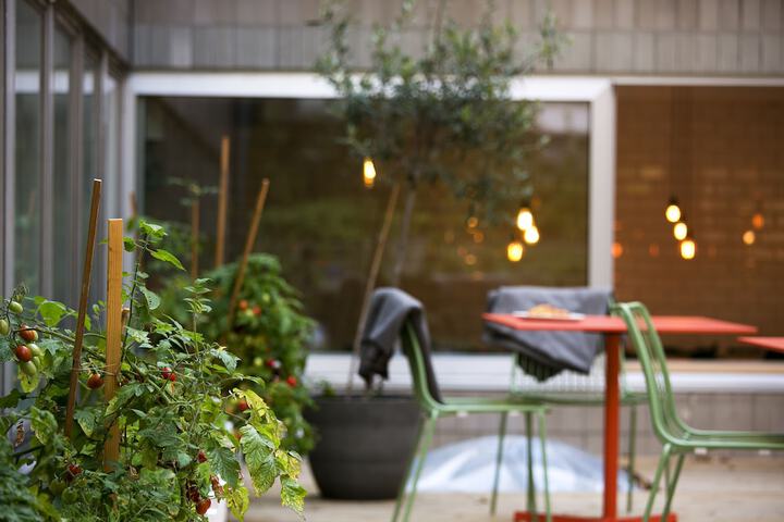 Terrace/Patio 45 of 50