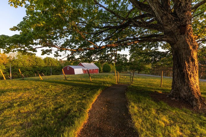 Property Grounds 146 of 191