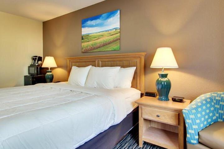Double Accessible King Size Bed (2 of 2)