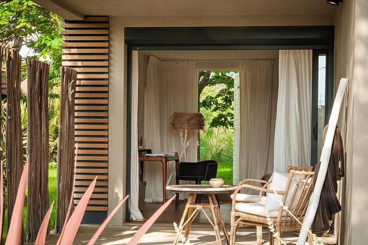 Wellness Treatments
