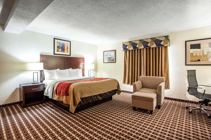 1 King Bed Accessible (8 of 16)