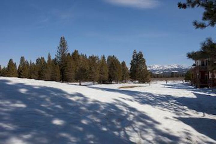 Property Grounds 13 of 13