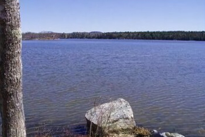 Property Grounds 17 of 55