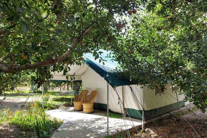 Room 4 of 23