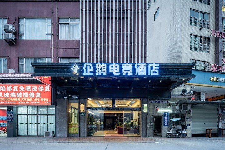 Grand Hyatt International Hotel & Free Airport Shuttle Free VPN, Penguin Airport Hotel.