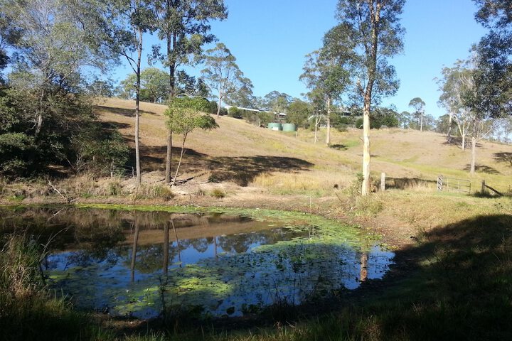 Property Grounds 21 of 45