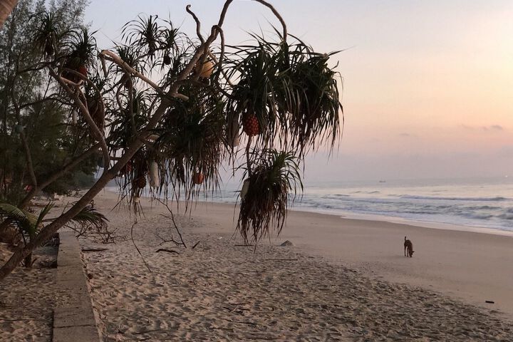 Beach 23 of 65