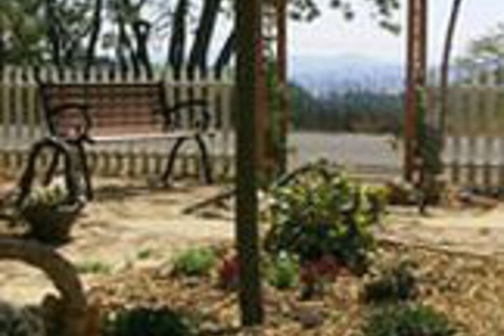 Property Grounds 18 of 19