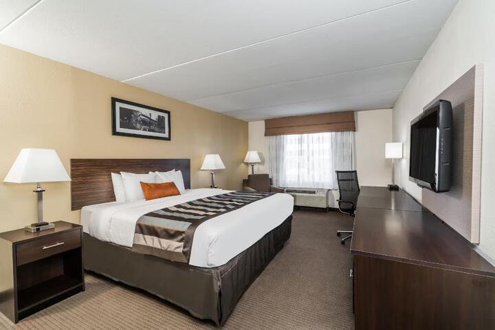 1 King Bed (12 of 15)